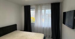 Apartament 🔸Raul Doamnei 🔸Inchiriere