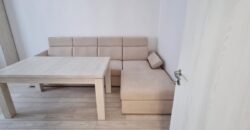 Apartament • 2 camere • Regie • Inchiriere